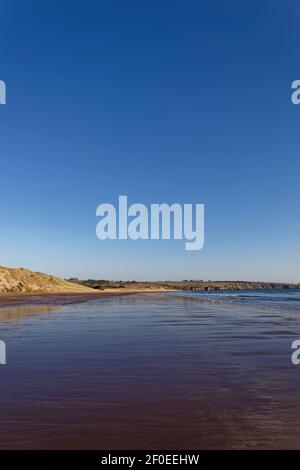 Guardando a nord lungo la sezione meridionale di Lunan Bay Beach con la marea che si inaridia attraverso la sabbia bagnata e un cielo blu profondo sopra. Foto Stock