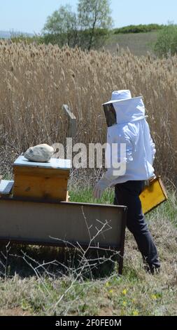 Ankara, Turchia - 2018: L'apicoltore lavora con api e alveari sull'alveare. Preparandosi ad aprire l'alveare. Foto Stock