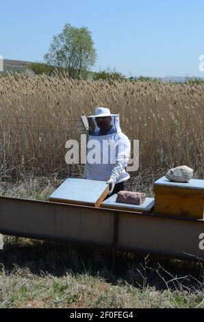 Ankara, Turchia - 2018: L'apicoltore lavora con api e alveari sull'alveare. Preparandosi ad aprire l'alveare. Foto Stock