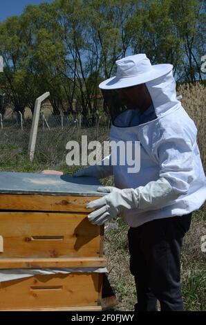 Ankara, Turchia - 2018: L'apicoltore lavora con api e alveari sull'alveare. Preparandosi ad aprire l'alveare. Foto Stock