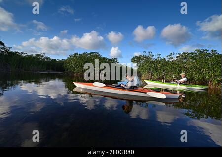 Donna e senior kayaking attivo su Nine Mile Pond nell'Everglades National Park. Foto Stock