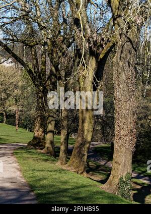 Beechwood Park , Newport , Galles del Sud, Regno Unito Foto Stock