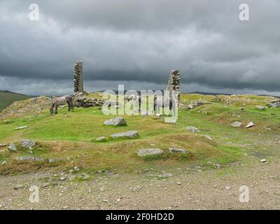 Cavalli vicino a una rovina sulle brughiere Dartmoor Foto Stock