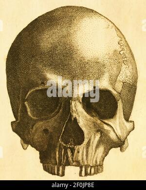 incisione ottocentesca di un cranio preistorico umano. Pubblicato in Systematischer Bilder-Atlas zum Conversations-Lexikon, Ikonographische Encyklopedie Foto Stock