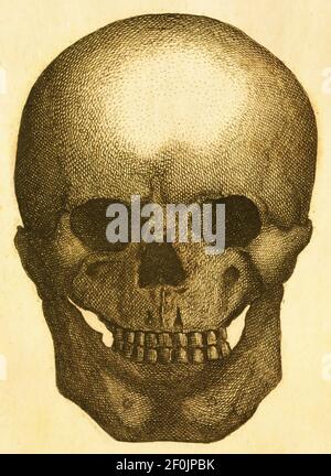 illustrazione del xix secolo di un cranio umano preistorico. Pubblicato in Systematischer Bilder-Atlas zum Conversations-Lexikon, Ikonographische Encyklopae Foto Stock