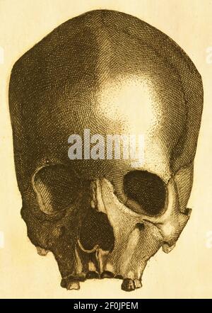 Incisione di un cranio preistorico umano. Pubblicato in Systematischer Bilder-Atlas zum Conversations-Lexikon, Ikonographische Encyklopedie der Wissensc Foto Stock