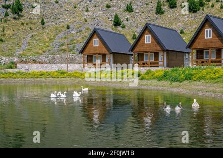 Paesaggio estivo con nuovi cottage in legno, oche bianche e grigie nuotare nel laghetto, fiori gialli sulla riva Foto Stock