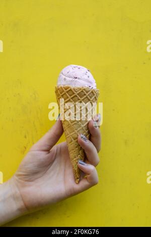 Gelato nella tazza con waffle Foto Stock