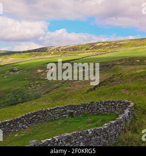 Agricoltura nella valle di Farndale sulla North York Moors, England, Regno Unito Foto Stock