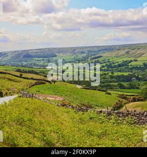 Agricoltura nella valle di Farndale sulla North York Moors, England, Regno Unito Foto Stock