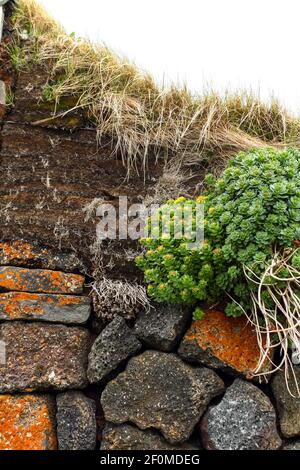 Case di tappeti erbosi costruite in modo tradizionale, Islanda del Nord Foto Stock