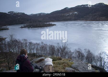 Escursionista con Samoyed Husky cane ​​looking al lago congelato e. fiordo di Rogaland Norvegia Foto Stock