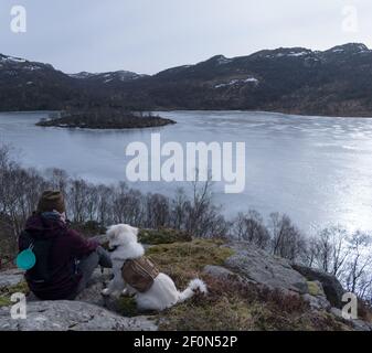 Escursionista con Samoyed Husky cane ​​looking al lago congelato e. fiordo di Rogaland Norvegia Foto Stock