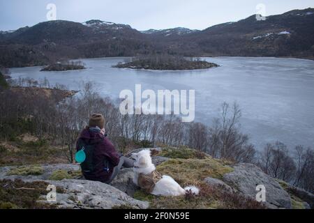 Escursionista con Samoyed Husky cane ​​looking al lago congelato e. fiordo di Rogaland Norvegia Foto Stock