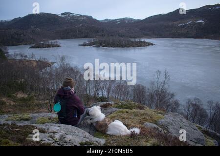 Escursionista con Samoyed Husky cane ​​looking al lago congelato e. fiordo di Rogaland Norvegia Foto Stock