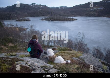 Escursionista con Samoyed Husky cane ​​looking al lago congelato e. fiordo di Rogaland Norvegia Foto Stock