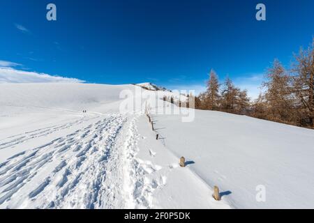 Montagna innevata in inverno sul Parco Naturale Regionale Altopiano della Lessinia, Malga San Giorgio, stazione sciistica, Verona, Veneto, Italia. Foto Stock