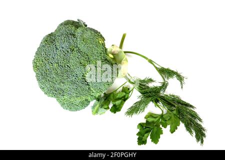 Broccoli (Brassica oleracea), pianta verde commestibile della famiglia dei cavoli (Brassicaceae, Brassica) Foto Stock