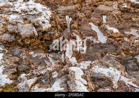 Fathom Five National Park Grey Sauble County Bruce Peninsula Ontario Canada Foto Stock