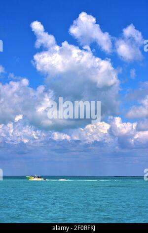 Onda barca in messico gelata e blu Foto Stock