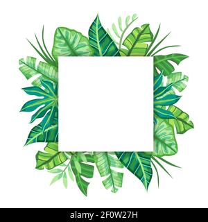Disegno di etichetta quadrata con foglie tropicali. Adatto per concetto di natura, vacanza e vacanze estive. Illustrazione vettoriale. Illustrazione Vettoriale