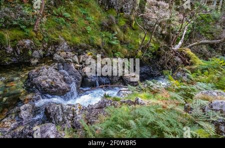 Cascata di Cadair Idris Foto Stock