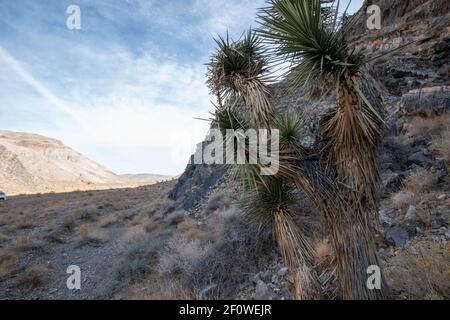 Hidden Valley è accessibile tramite Lost Burro Gap nel Death Valley National Park nella contea di Inyo, California, USA. Foto Stock