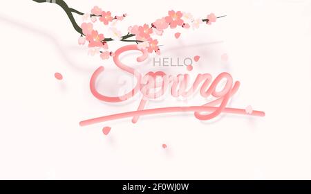Molla. Illustrazione 3d vettoriale realistica. banner a molla di fusione 3d. Lettere ritagliate con bolssom sakura su sfondo rosa tenue. Tipografia trendy Illustrazione Vettoriale