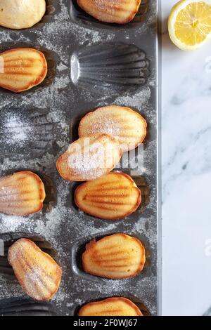 Vista dall'alto delle torte di madeleine appena sfornate in un latta con un cuneo di limone sul lato Foto Stock