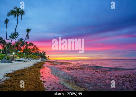 Tramonto vibrante su spiaggia tropicale e palme nella repubblica Dominicana Foto Stock