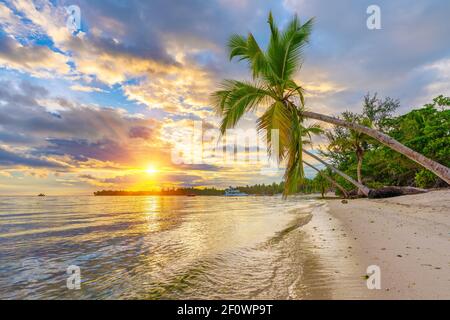 Splendida alba su spiaggia tropicale e palme nella repubblica Dominicana Foto Stock