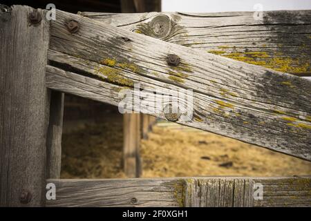 Recinzione nodosi Gate Farm Barn a grana di legno Moss Foto Stock