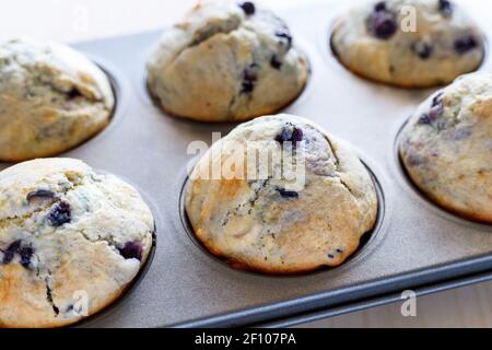 Muffin appena sfornati fatti in casa con frutti di bosco in teglia da forno Foto Stock