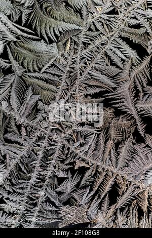 Cristalli di ghiaccio intricati che crescono su una finestra pane in inverno in Michigan, Stati Uniti Foto Stock