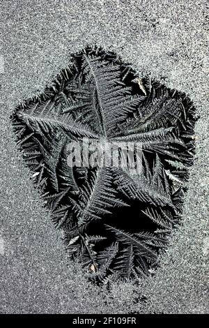 Cristalli di ghiaccio intricati che crescono su una finestra pane in inverno in Michigan, Stati Uniti Foto Stock