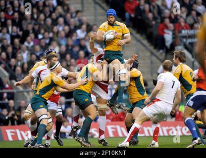 INGHILTERRA V AUSTRALIA A TWICKENHAM. 15/11/2008. NATHAN SHARPE. IMMAGINE DAVID ASHDOWN Foto Stock