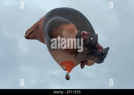 Canberra, ACT, Australia, 08 Mar 2021. Skywhalepapa disegnata dallo scultore Patricia Piccinini. . La mongolfiera Skywhalepapa raffigura non solo il coniuge di Skywhale, ma anche i loro nove bambini, che vanno dal bambino al neonato, immersi in modo sicuro sotto le pinne della creatura. Il Canberra Balloon Spectacular, precedentemente noto come Canberra Balloon Festival, è un festival annuale di mongolfiera che si svolge presso i prati della vecchia Casa del Parlamento a Canberra, Australia. Credit: Darren Weinert/Alamy Live News Foto Stock