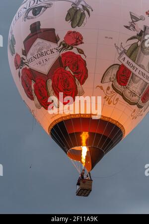 Canberra, ACT, Australia, 08 Mar 2021. Il Canberra Balloon Spectacular, precedentemente noto come Canberra Balloon Festival, è un festival annuale di mongolfiera che si svolge presso i prati della vecchia Casa del Parlamento a Canberra, Australia. Credit: Darren Weinert/Alamy Live News Foto Stock