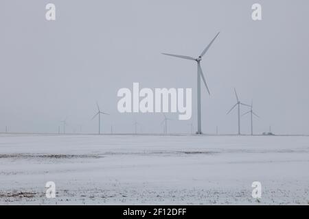 Turbina eolica fattoria, hazy, giorno invernale, Indiana, Stati Uniti, Di James D Coppinger/Dembinsky Photo Assoc Foto Stock