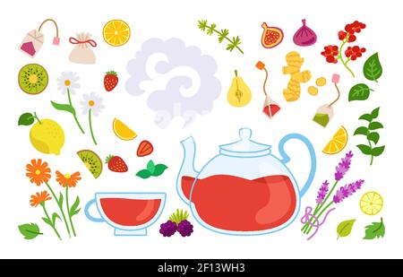 Set di erbe e frutta da tè caldo. Teiera, tè della tazza. Bollitore medico sano tisana trasparente. Ingredienti del tè di raccolta, camomilla, pera di lavanda, fragola e vettore zenzero Illustrazione Vettoriale