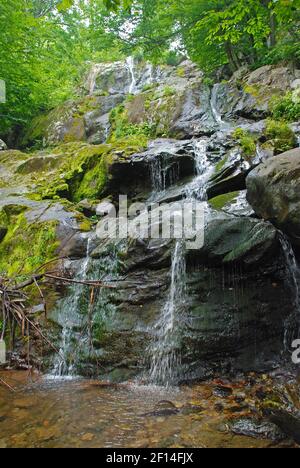 Cascate di Hidden Dark Hollow nel parco nazionale Forest Shenandoah In Virginia Foto Stock