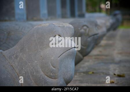 Particolare di stele in pietra con tartaruga alla base. Colonna tartaruga. Simile alle lapidi del Tempio della Letteratura, ma a Trang An, Ninh Binh, Vietnam Foto Stock