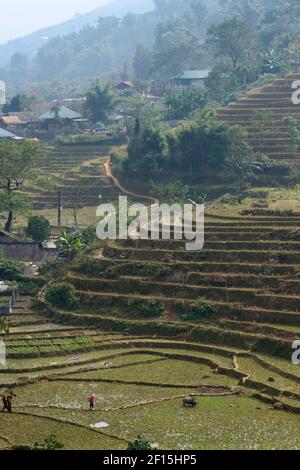 Paesaggio rurale che circonda Sapa, Laos Cai Provincia, nord Vietnam. Campi di riso terrazzati. Foto Stock