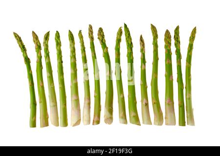 Steli freschi di asparagi in una linea isolata su bianco sfondo Foto Stock