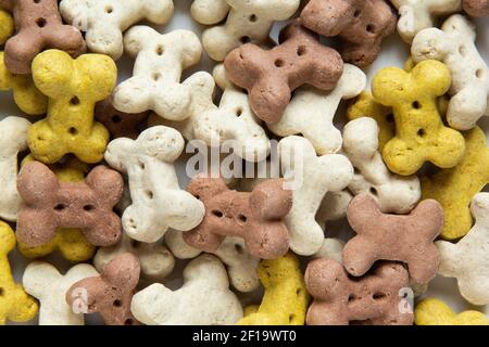 Primo piano di crunchies vegetariani secchi del cane sotto forma di ossa Foto Stock