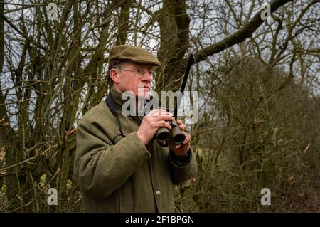 Lincolnshire, Inghilterra, Regno Unito. Un deerstalker finalmente luce guardando e avvistare cervi per l'abbattimento e la gestione come parte di un programma di conservazione Foto Stock