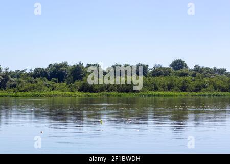 Il bellissimo paesaggio lungo il Rio Sao Lourenco nel Pantanal settentrionale in Mato Grosso, Brasile Foto Stock