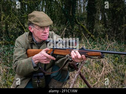 Lincolnshire, Inghilterra, Regno Unito. Un deerstalker finalmente luce guardando e avvistare cervi per l'abbattimento e la gestione come parte di un programma di conservazione Foto Stock