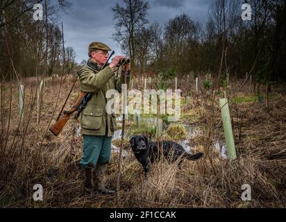 Lincolnshire, Inghilterra, Regno Unito. Un deerstalker finalmente luce guardando e avvistare cervi per l'abbattimento e la gestione come parte di un programma di conservazione Foto Stock