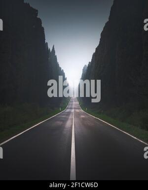 Bolgheri famosi cipressi viale dritto in una mattina foggy. Maremma, Toscana, Italia, Europa. Foto Stock